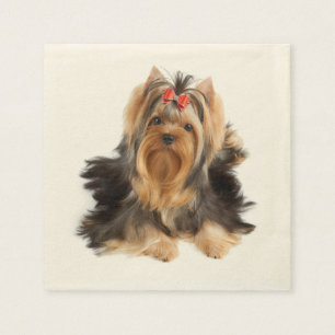 Hund der Showklasse Serviette
