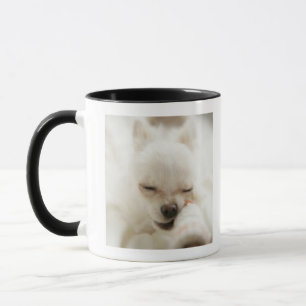 Hund, der Spielzeug im Mund hält Tasse