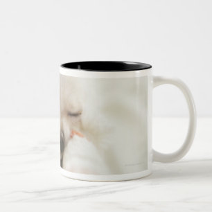 Hund, der Spielzeug im Mund hält Zweifarbige Tasse