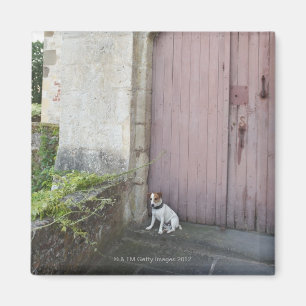 Hund, der vor geschlossenen Türen sitzt Magnet