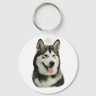 Hund des alaskischen Malamute Schlüsselanhänger