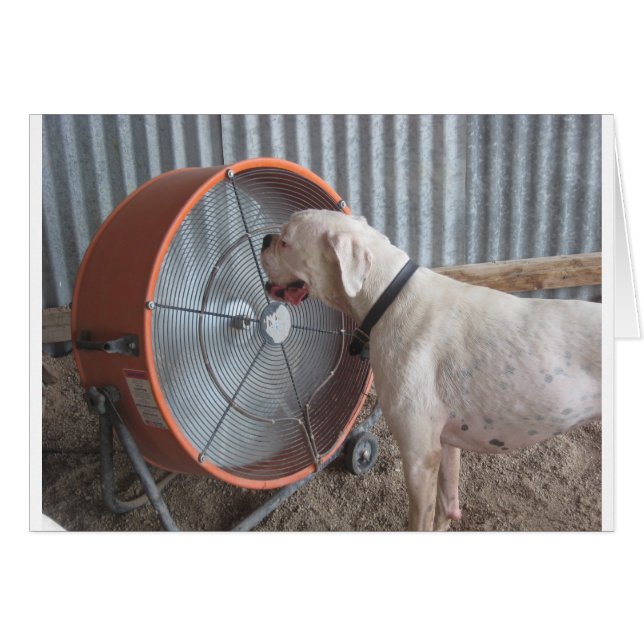 Hund - die Brise lieben (Vorderseite (Horizontal))