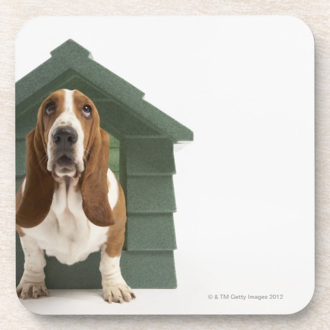 Hund durch Doghouse Getränkeuntersetzer (Vorderseite)