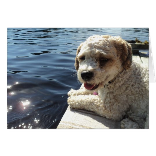 Hund durch eine Seegrußkarte Karte