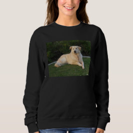 Hund entspannen sweatshirt