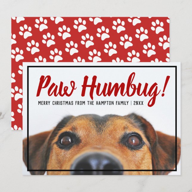 Hund Foto Bah Humbug Weihnachtsmann Feiertagskarte (Vorne/Hinten)