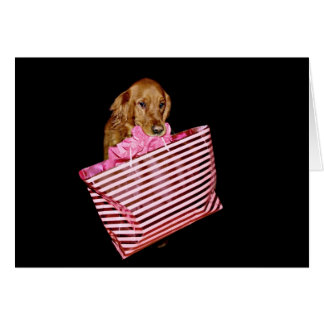 Hund geht einkaufen