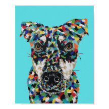 Hund gemischter Rasse