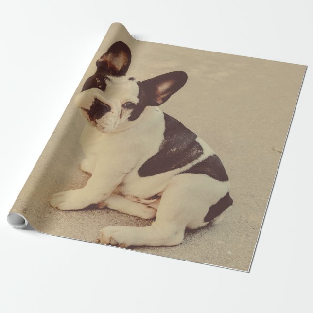 Hund Geschenkpapier (Ungerollt)
