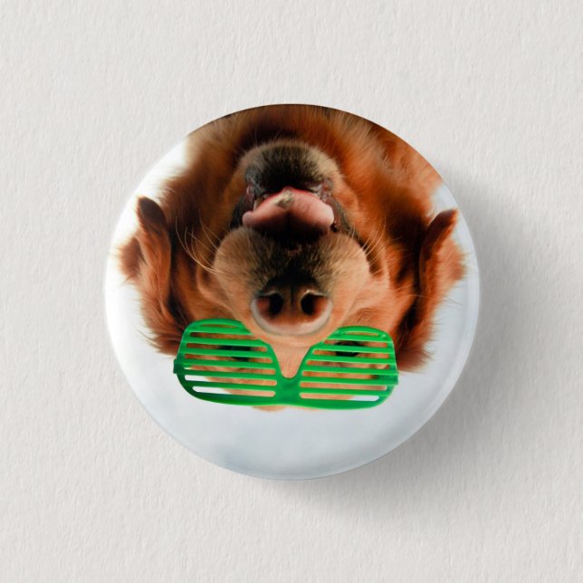 Hund Getty Bild-| mit Gläsern Button (Vorderseite)