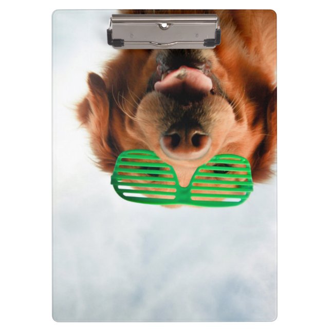 Hund Getty Bild-| mit Gläsern Klemmbrett (Vorderseite)