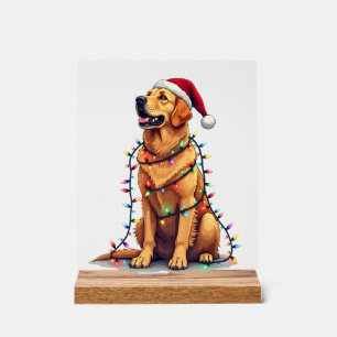 Hund Golden Retriever Santa Weihnachten Xmas Licht Acrylschild