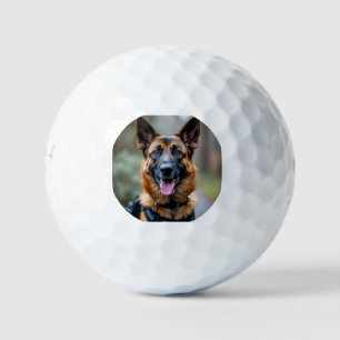 Hund Golfball