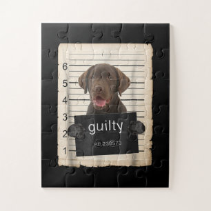 Hund  Guilty Chocolate Labrador Bad Dog