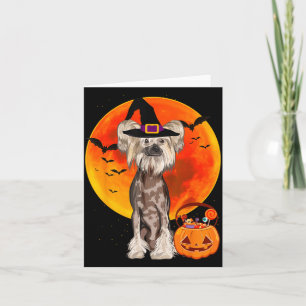 Hund Halloween Chinese Crested Kürbislaterne Karte