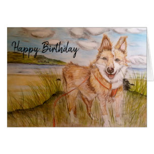 Hund Happy Birthday Card