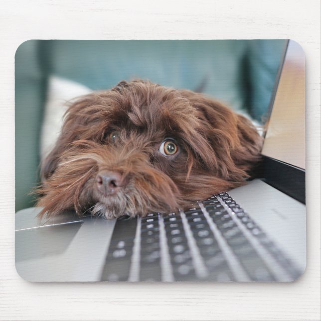 Hund, Haustier, Behältnis Mousepad (Vorne)