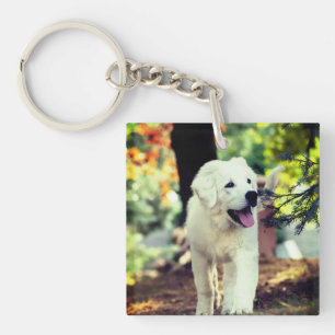Hund, Haustier, Kanine Schlüsselanhänger