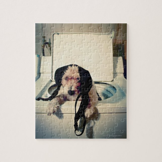 Hund hilft beim Waschen (Vertikal)