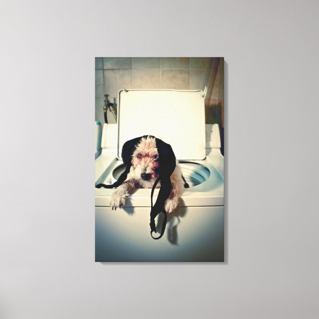 Hund hilft beim Waschen Leinwanddruck (Vorderseite)