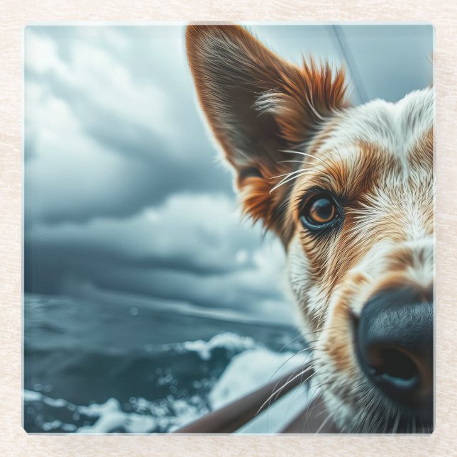 Hund im Bett eines Wohnmobils Glasuntersetzer (Vorderseite)