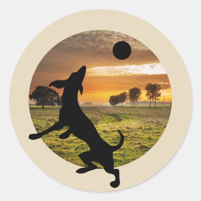 Hund im Spiel Runder Aufkleber (Vorderseite)