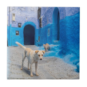 Hund in der blauen Stadt Fliese