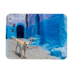 Hund in der blauen Stadt Magnet