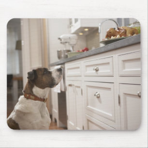 Hund in der Küche, die Nahrung auf Zähler Mousepad