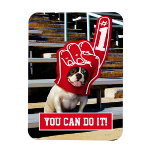 Hund in der SchaumHand Magnet