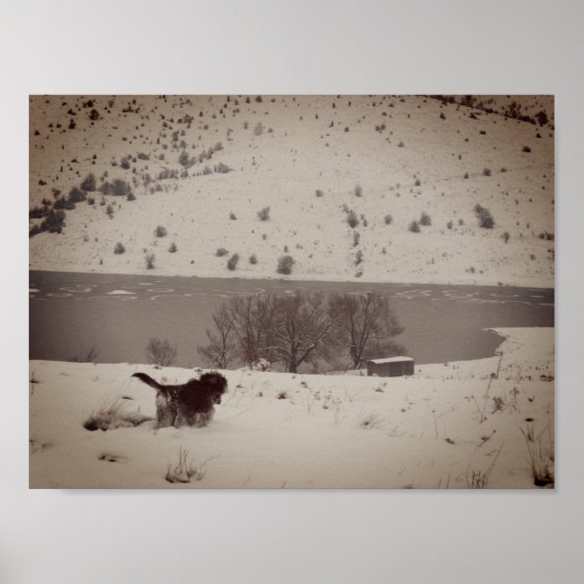 Hund in der Schneewertkarton Poster (Vorne)