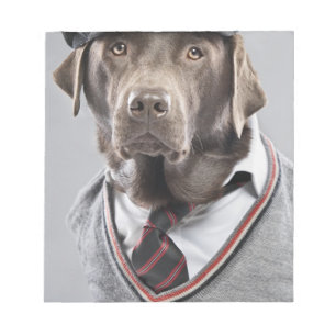 Hund in der Strickjacke und in der Kappe Notizblock