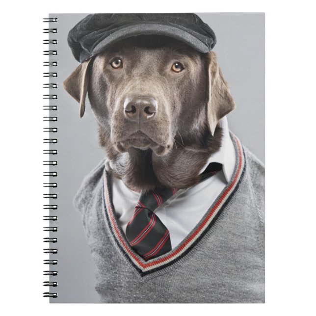 Hund in der Strickjacke und in der Kappe Notizblock (Vorderseite)