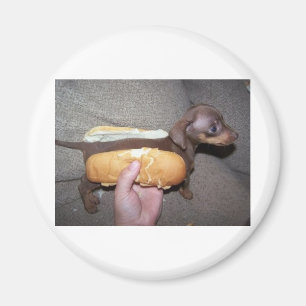 Hund in einem Brötchen Magnet