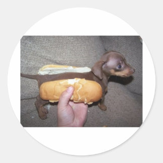 Hund in einem Bun Runder Aufkleber