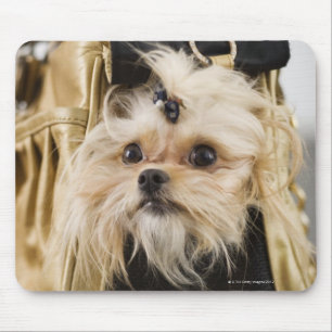 Hund in einem Geldbeutel Mousepad
