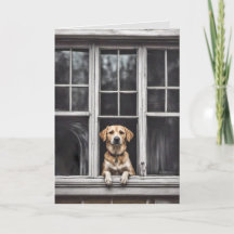 Hund in Fenster für Miss Sie