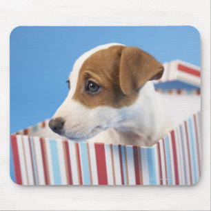 Hund in Geschenkboxen Mousepad
