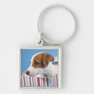 Hund in Geschenkboxen Schlüsselanhänger