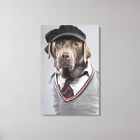 Hund in Pullover und Kapsel