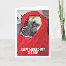 Hund in Red Blanket Portrait Karte