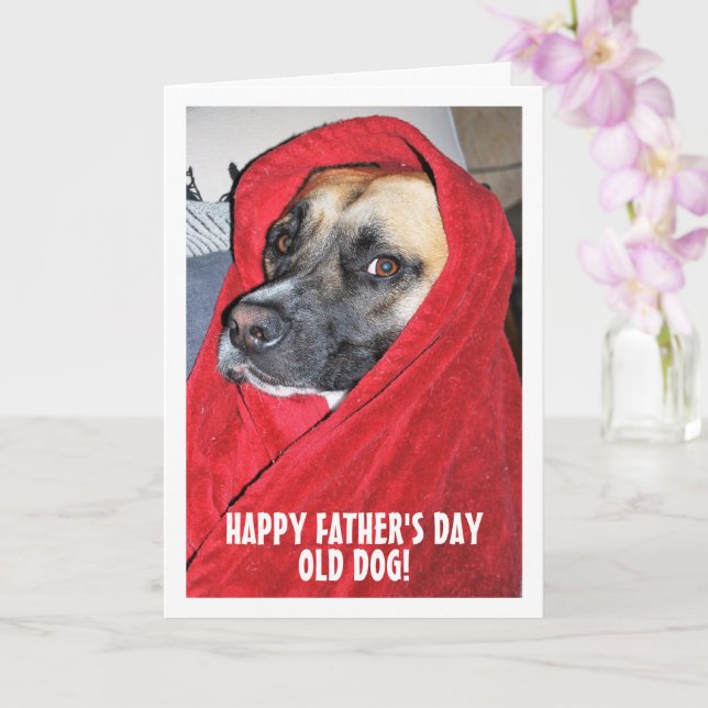 Hund in Red Blanket Portrait Karte (Orchidee)