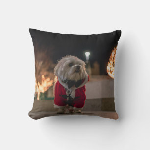 Hund in Santa-Kostüm Kissen