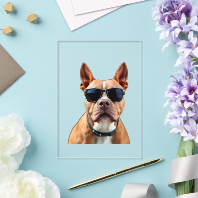 Hund in Sonnenbrille, Größe: 5" x 7" Acryleinladungen (In Situ (Hochzeit))