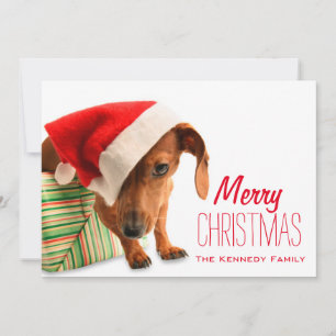 Hund in Weihnachtsmannmütze Feiertagskarte