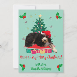 Hund in Weihnachtsmannmütze & Weihnachten Treppe F