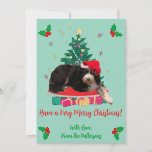 Hund in Weihnachtsmannmütze & Weihnachten Treppe F