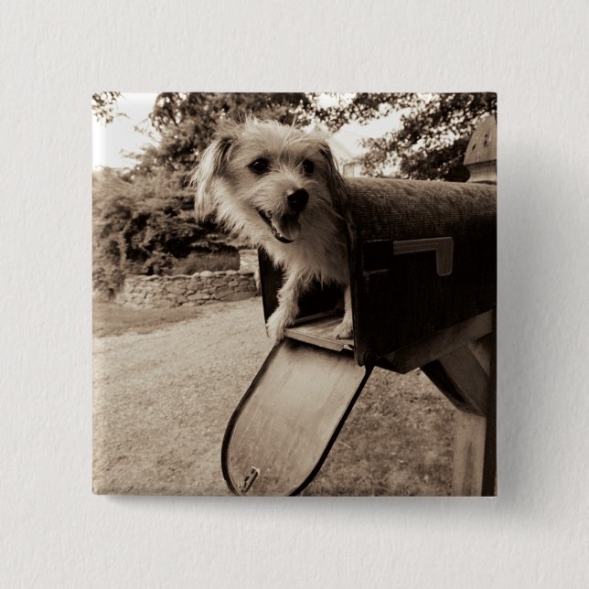 Hund innerhalb eines Briefkastens Button (Vorderseite)