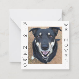 Hund ist glücklich geworden! Postkarte