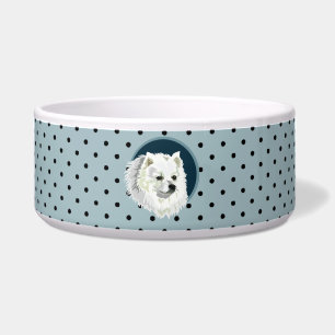 Hund Japanisch Spitz Napf
